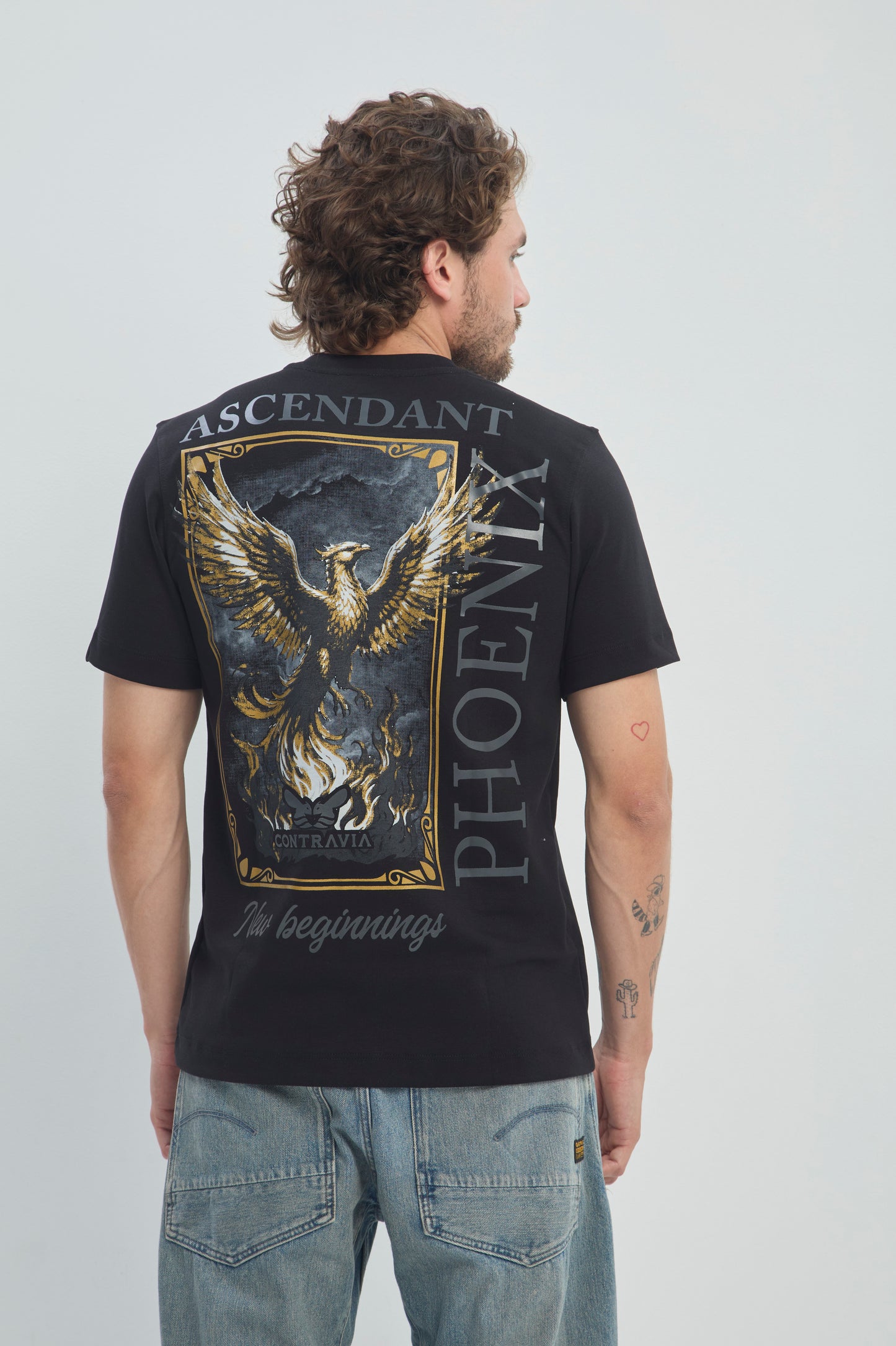 Camiseta Hombre Regular Fit 250G Alto Gramaje con Estampado Phoenix Ascendant Premium