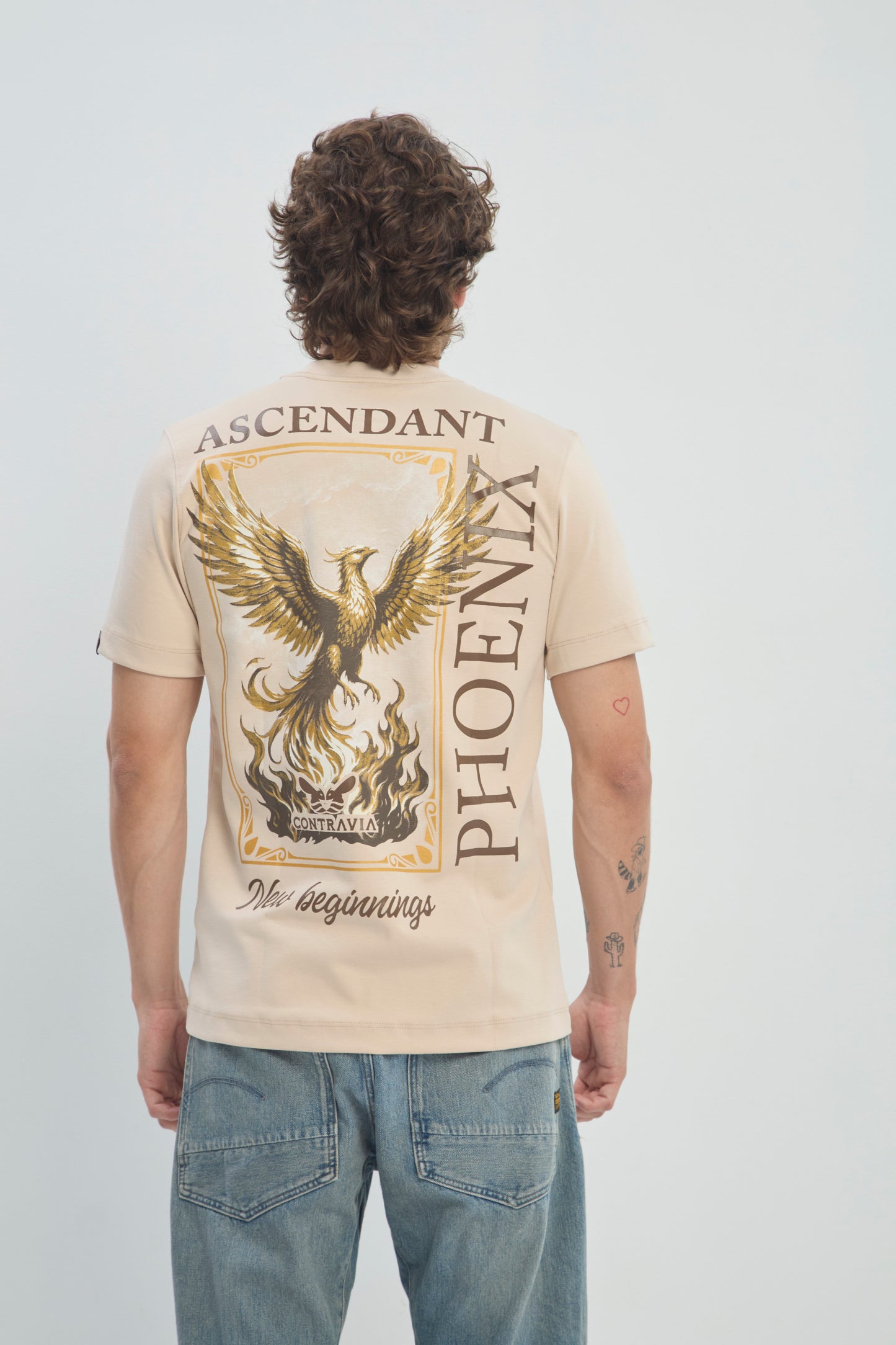 Camiseta Hombre Regular Fit 250G Alto Gramaje con Estampado Phoenix Ascendant Premium