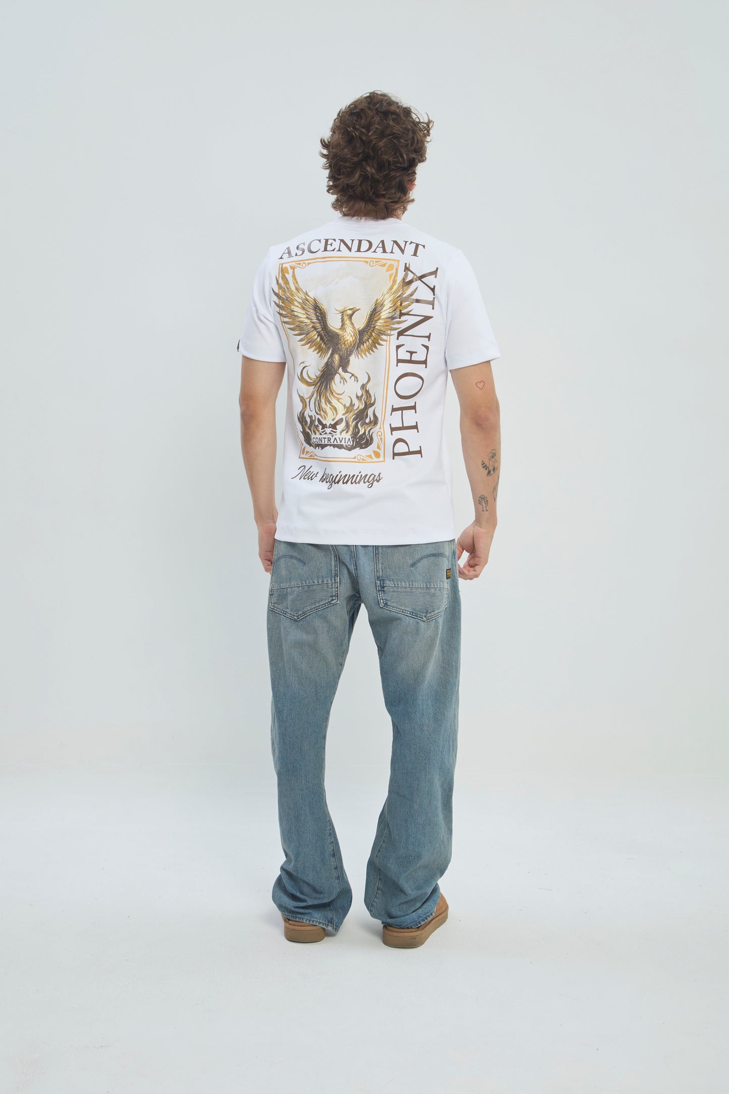 Camiseta Hombre Regular Fit 250G Alto Gramaje con Estampado Phoenix Ascendant Premium