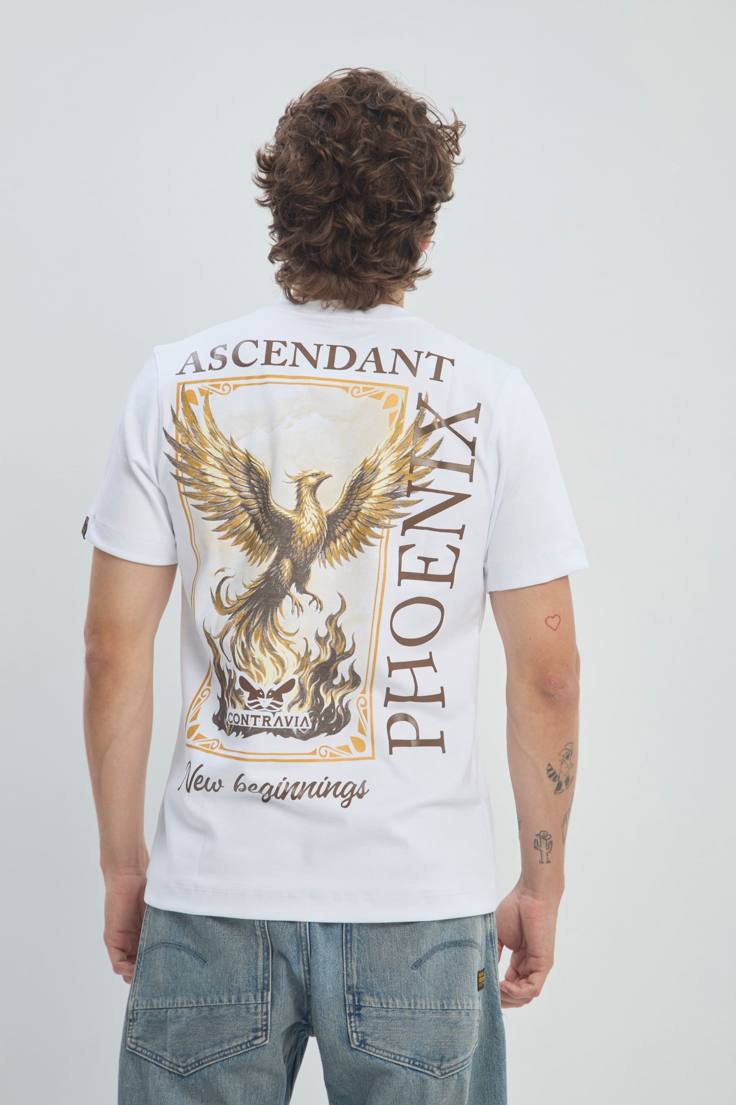Camiseta Hombre Regular Fit 250G Alto Gramaje con Estampado Phoenix Ascendant Premium