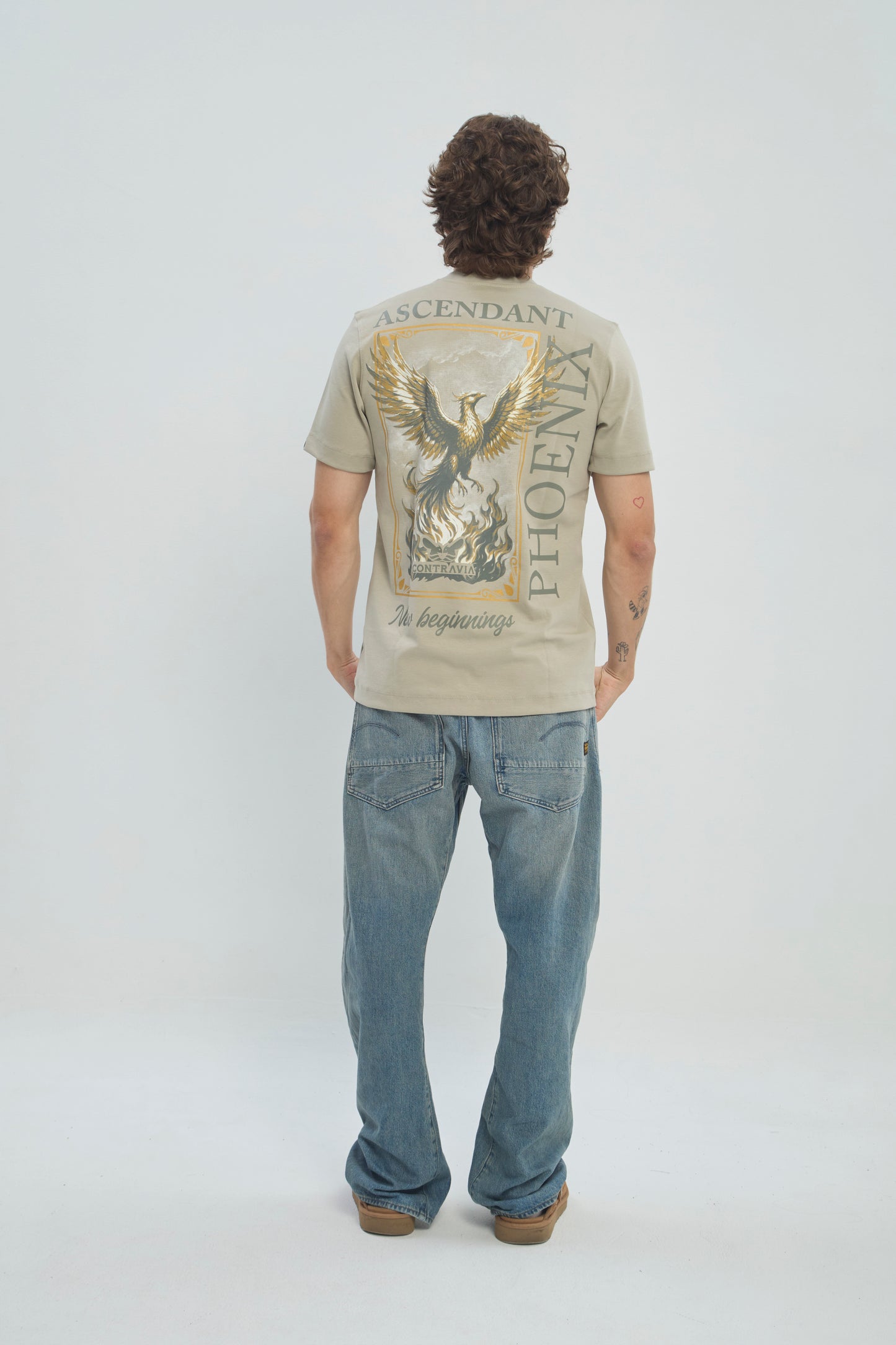 Camiseta Hombre Regular Fit 250G Alto Gramaje con Estampado Phoenix Ascendant Premium