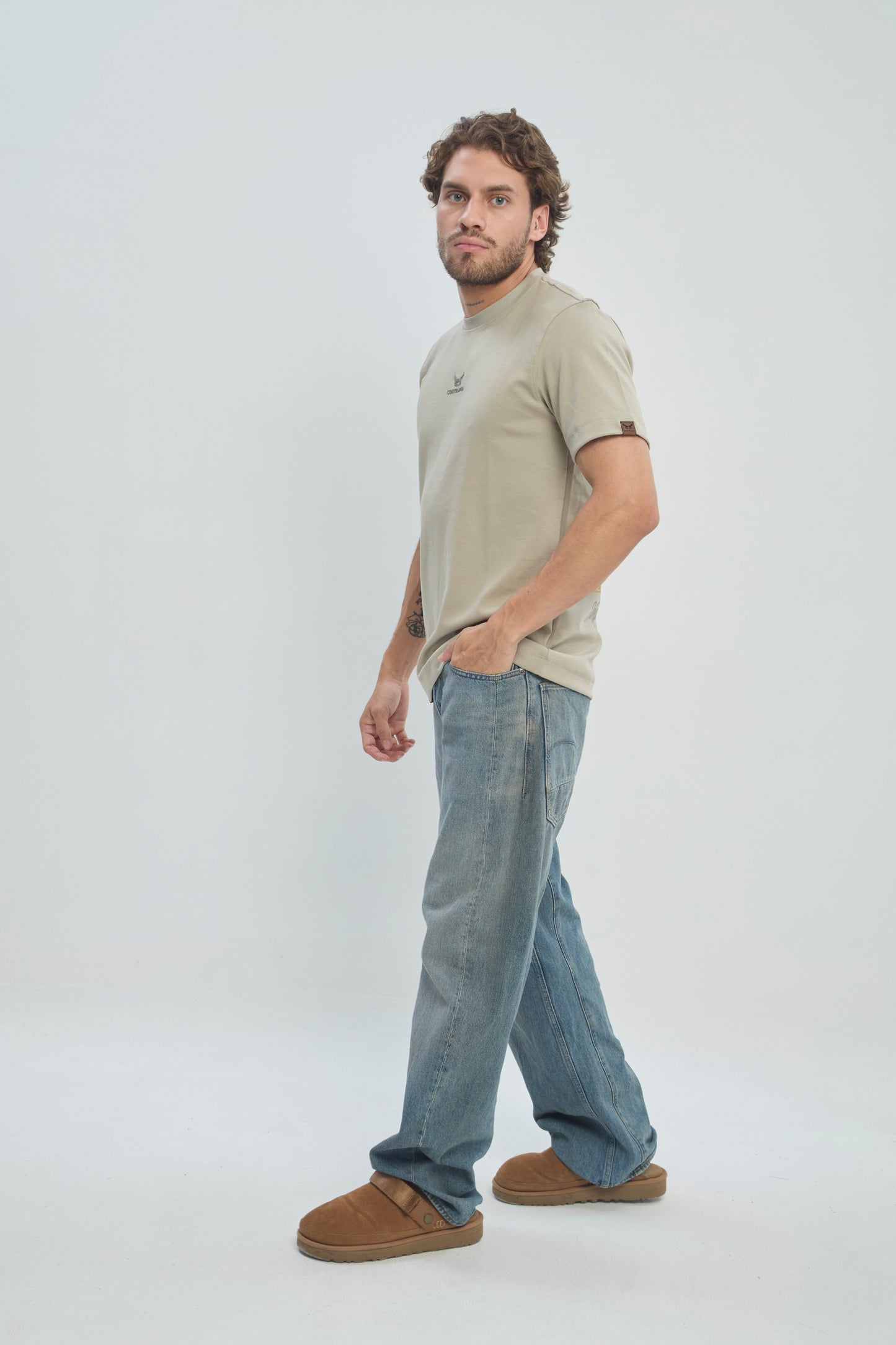 Camiseta Hombre Regular Fit 250G Alto Gramaje con Estampado Phoenix Ascendant Premium