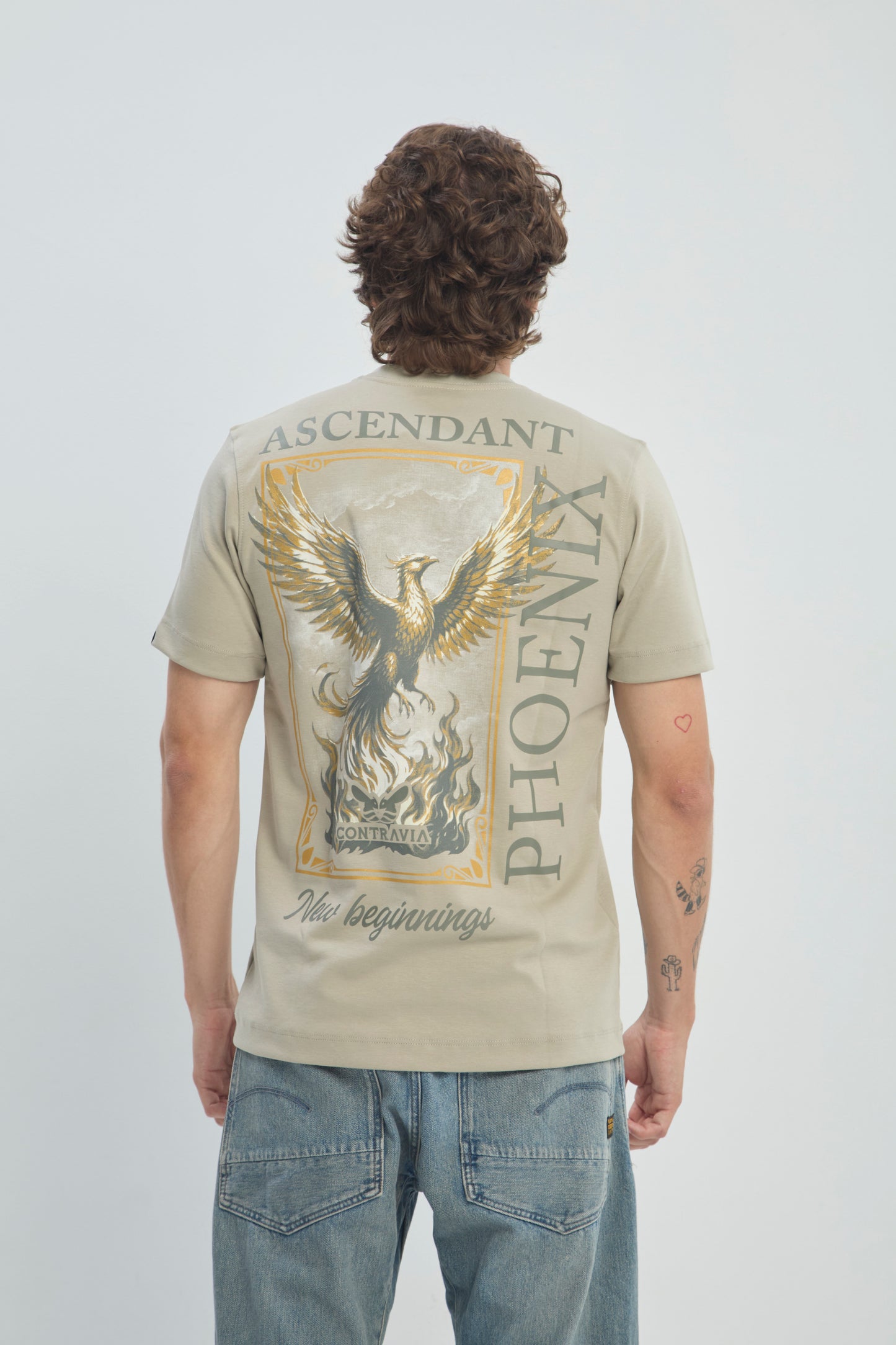 Camiseta Hombre Regular Fit 250G Alto Gramaje con Estampado Phoenix Ascendant Premium