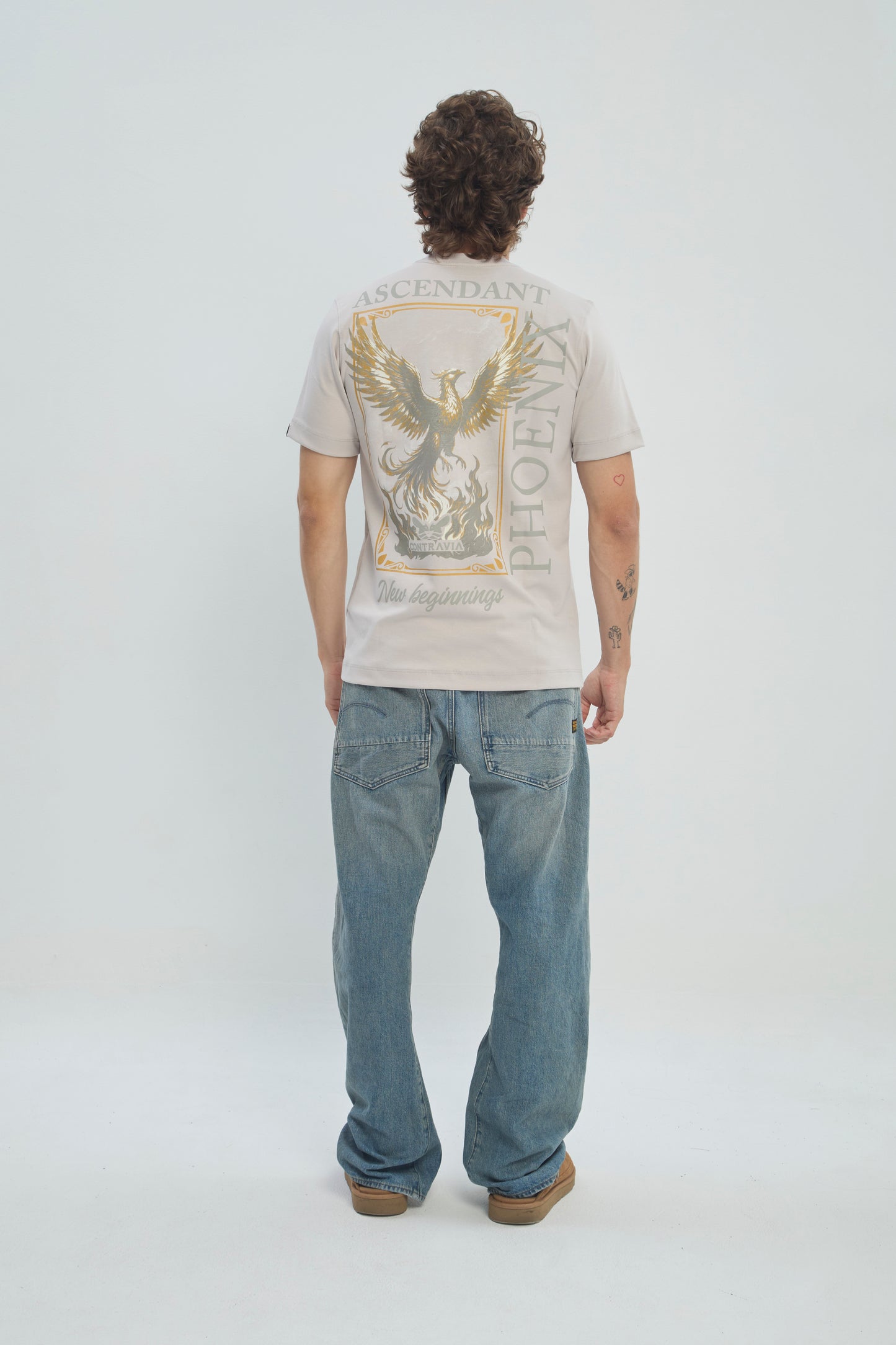 Camiseta Hombre Regular Fit 250G Alto Gramaje con Estampado Phoenix Ascendant Premium
